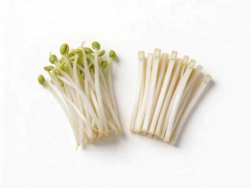 Bean Sprouts