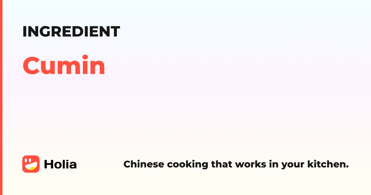 Cumin In Chinese Cumin — Chinese Cooking Ingredient | Holia